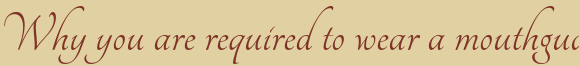 Dentist Westborough Why you are required to wear a mouthguard?